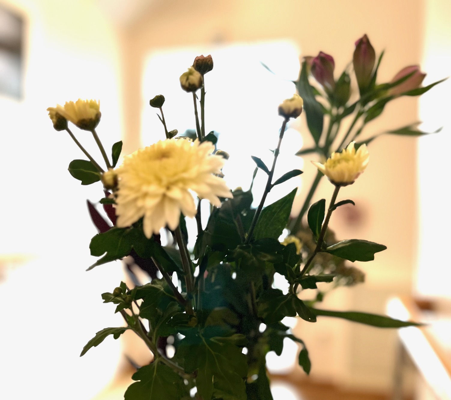 Aus dem Alltag der Palliativ-Ärztin...