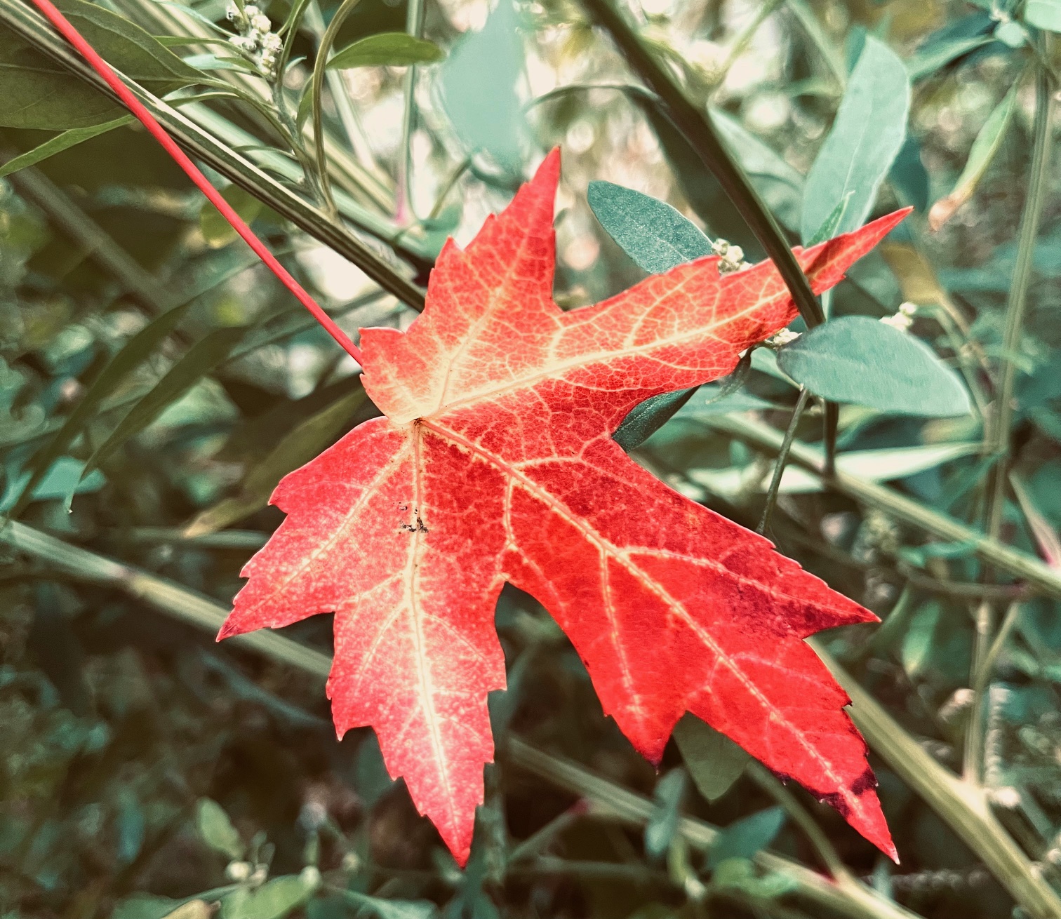 Aus dem Alltag im stationären Kinderhospiz...