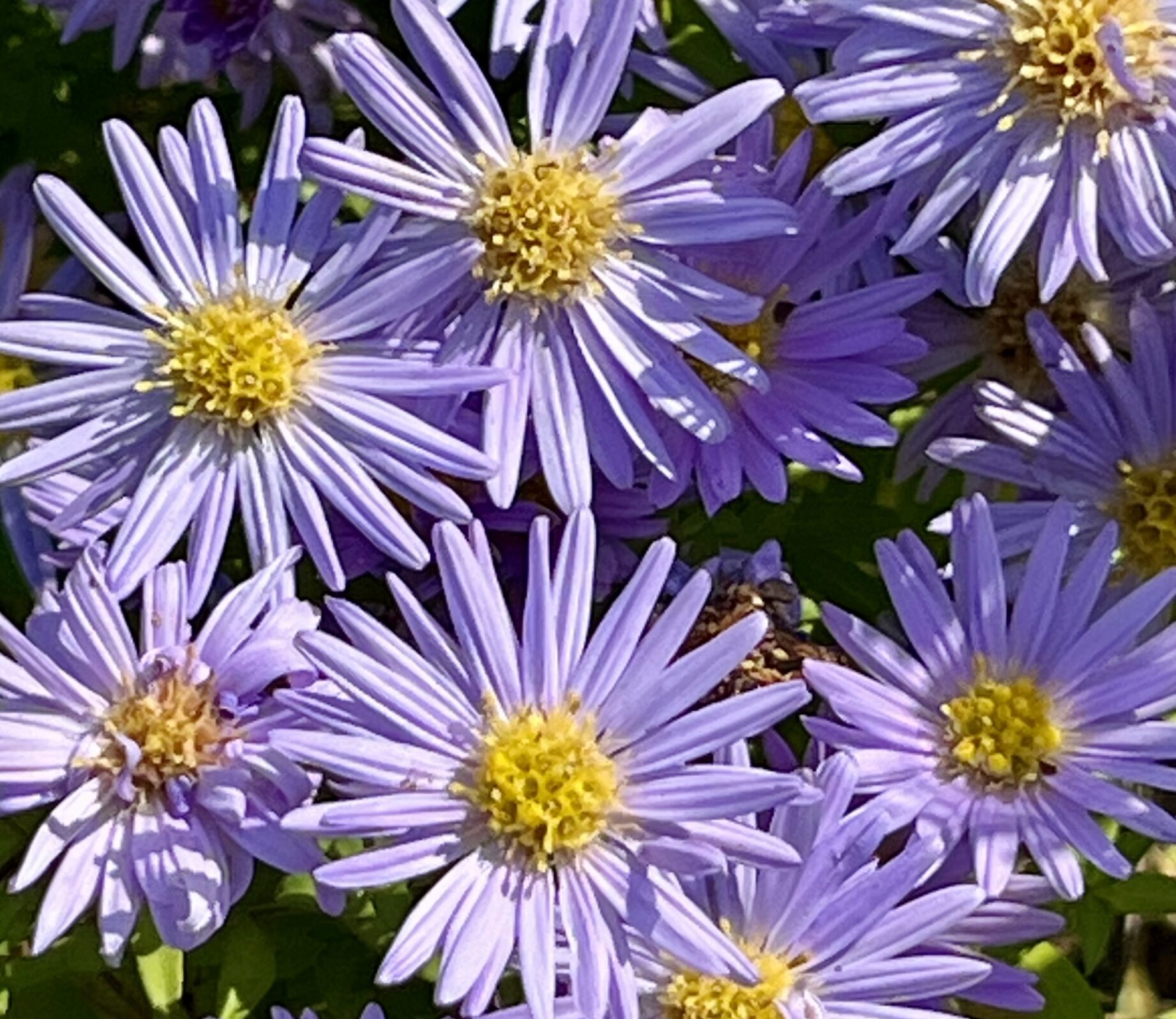 Aus dem Alltag im ambulanten Hospiz...